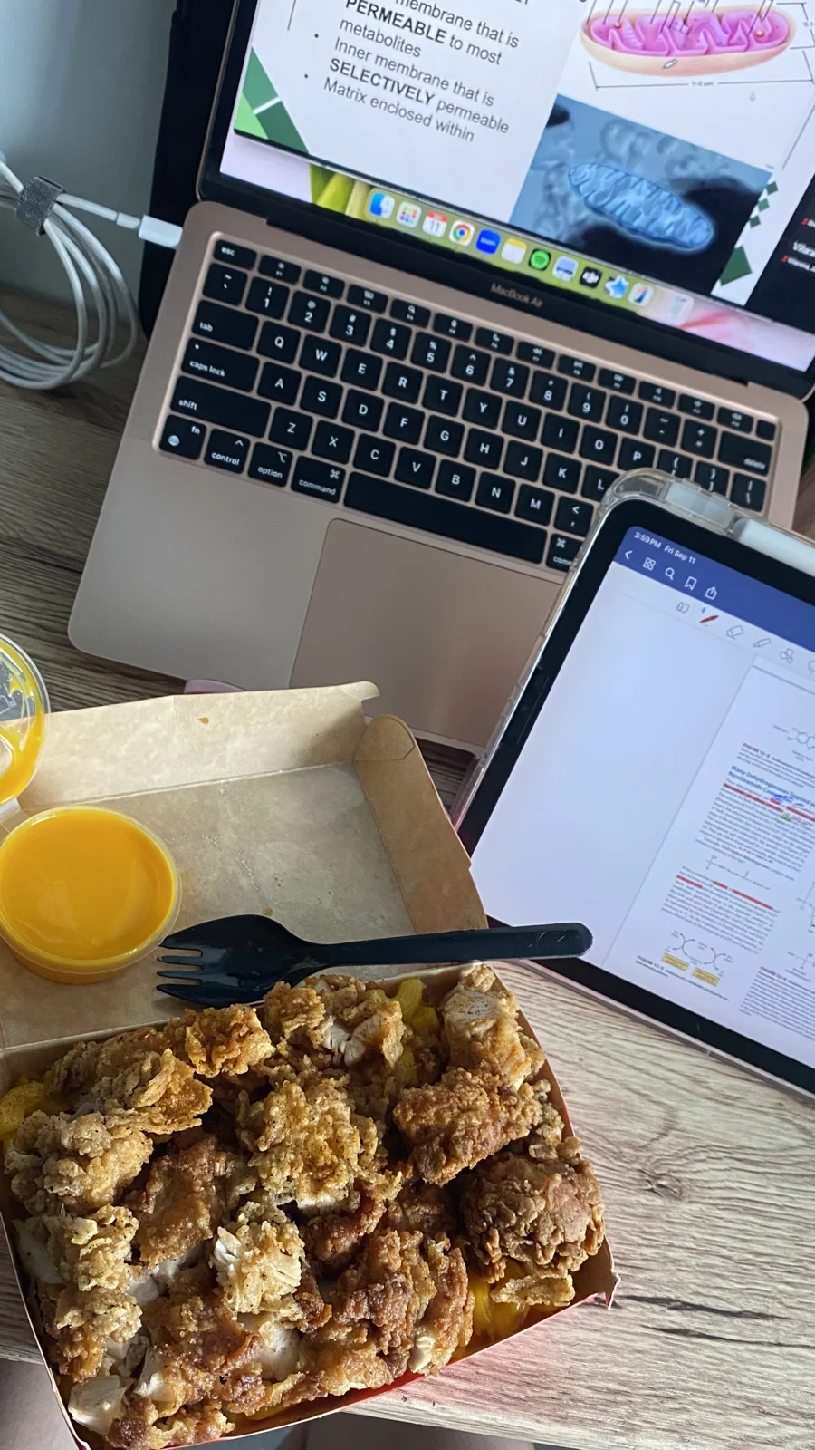 Reviewing my lesson using my laptop and tablet while having food during my study time.