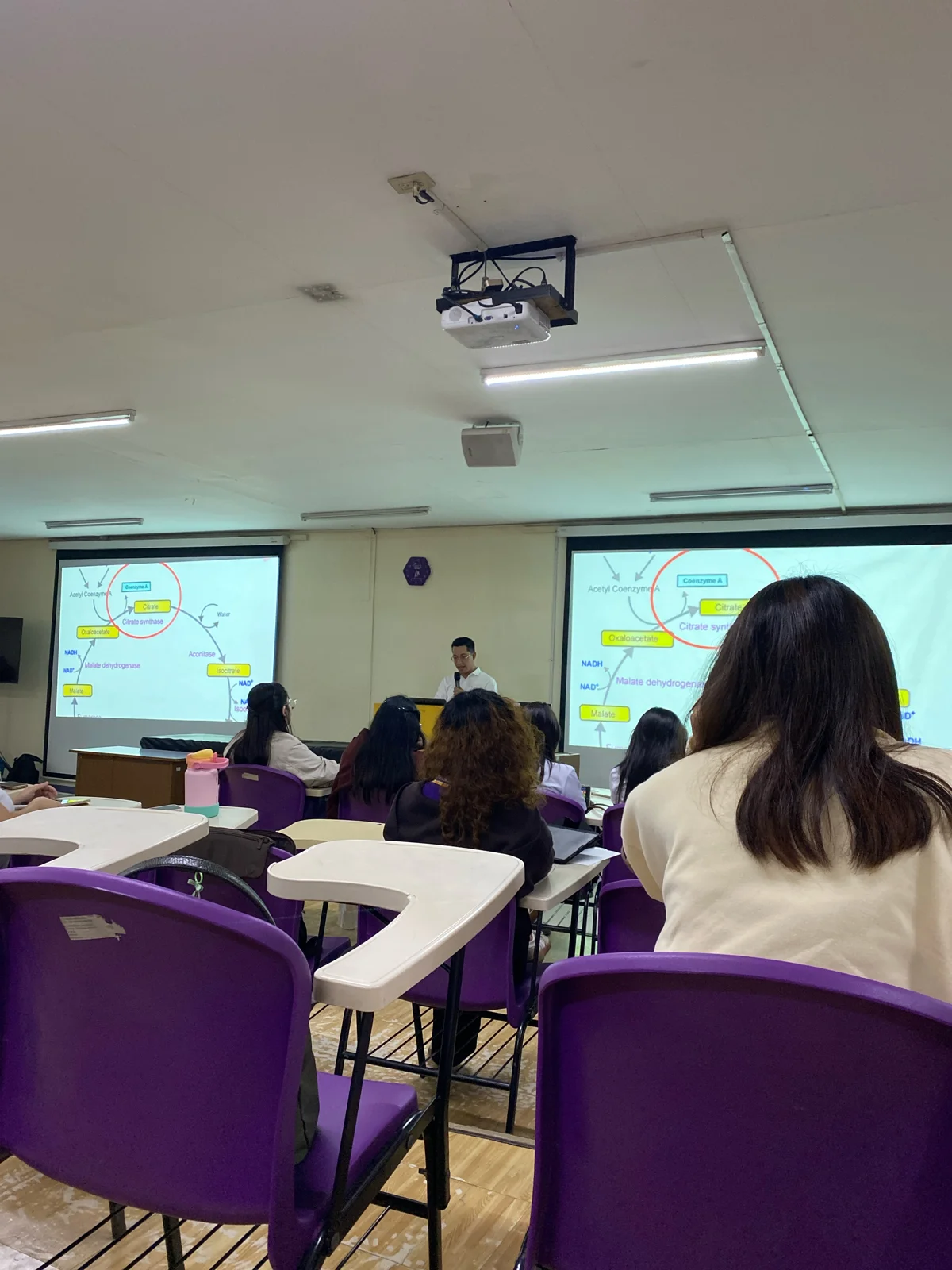 Attending our classroom discussion on the citric acid cycle.